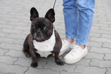 Photo of Woman walking with cute French Bulldog outdoors, closeup