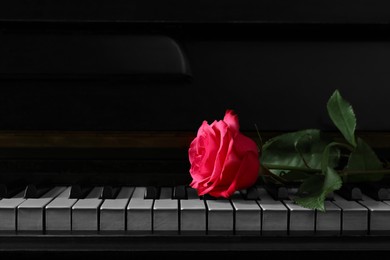 Photo of Beautiful pink rose on piano keys, space for text