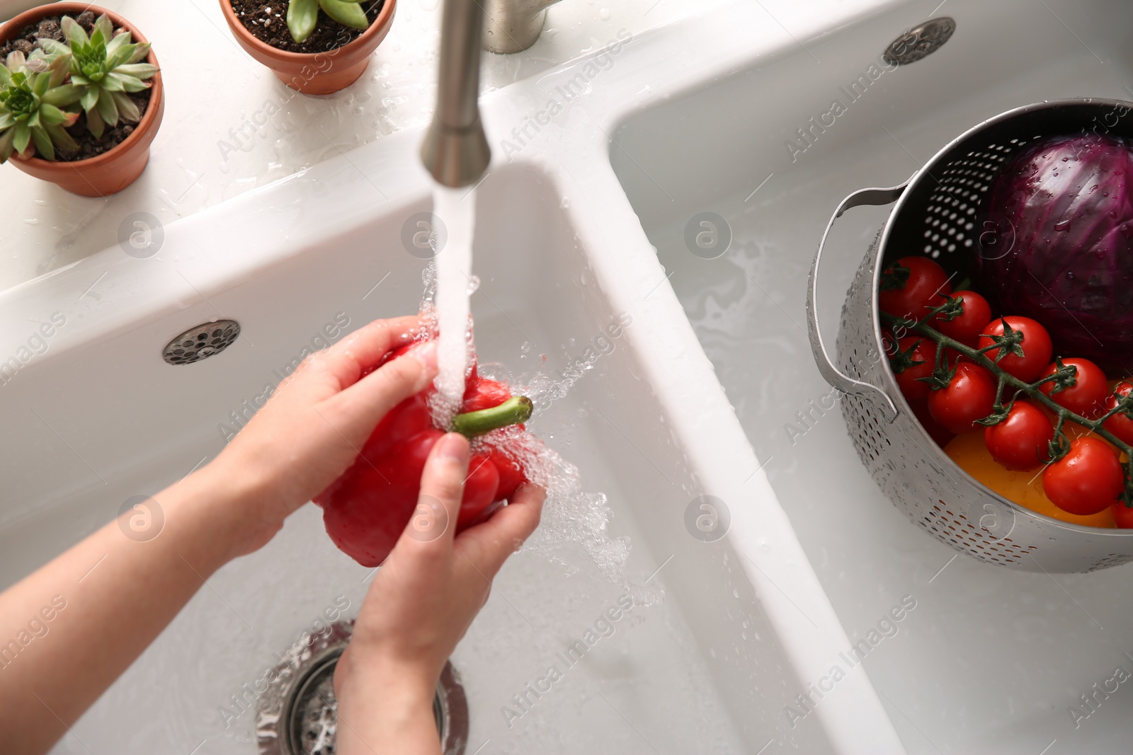 Photo of Woman washing fresh bell pepper in kitchen sink, above view