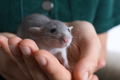 Photo of Woman holding cute small rat, closeup view