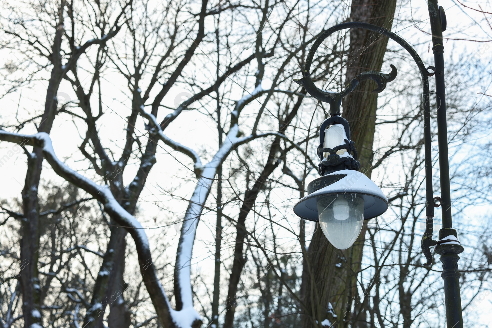 Photo of Trees and street lamp covered with snow in winter park