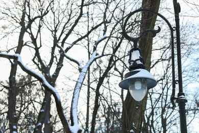 Trees and street lamp covered with snow in winter park