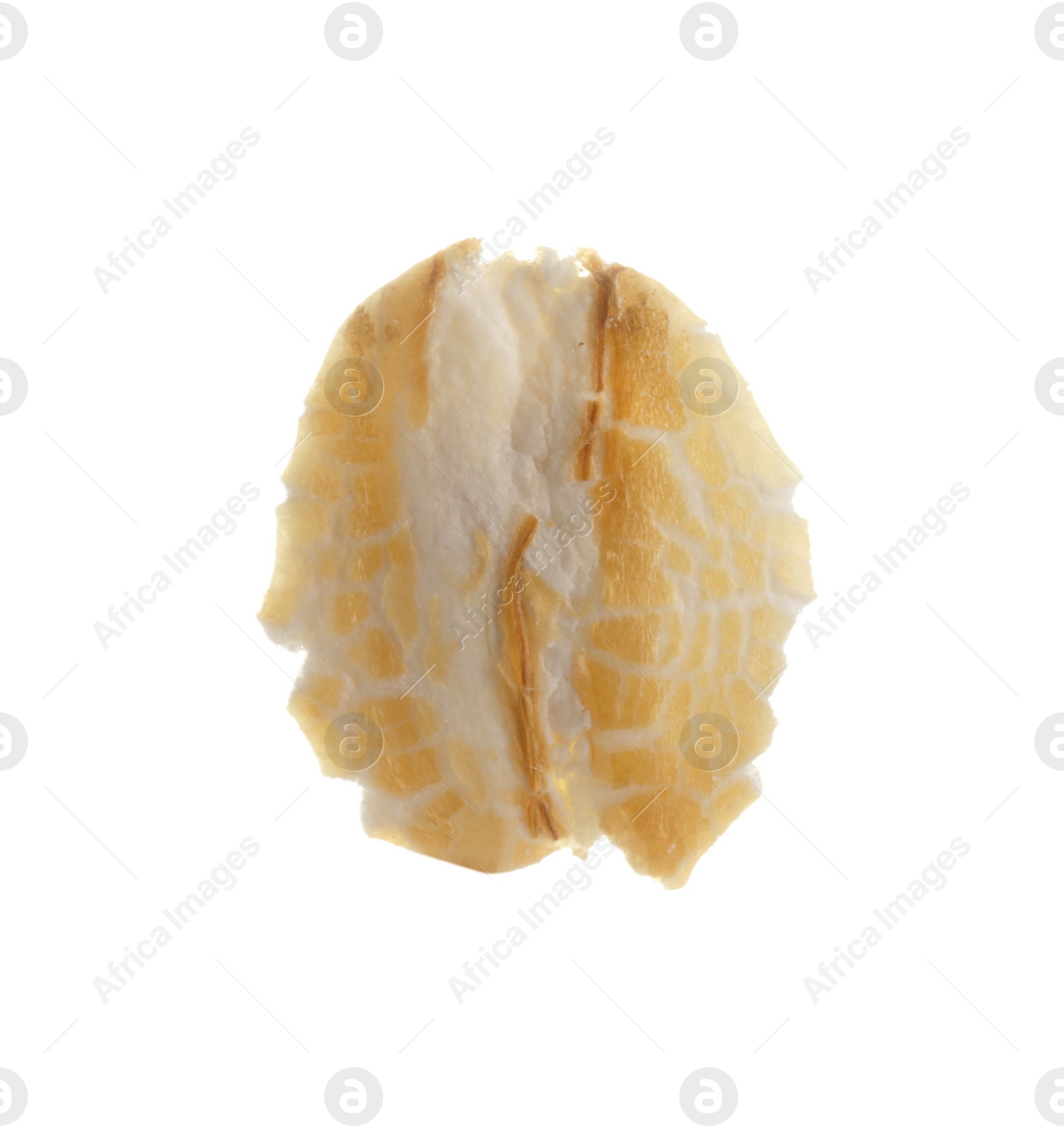 Photo of One dry oat flake isolated on white