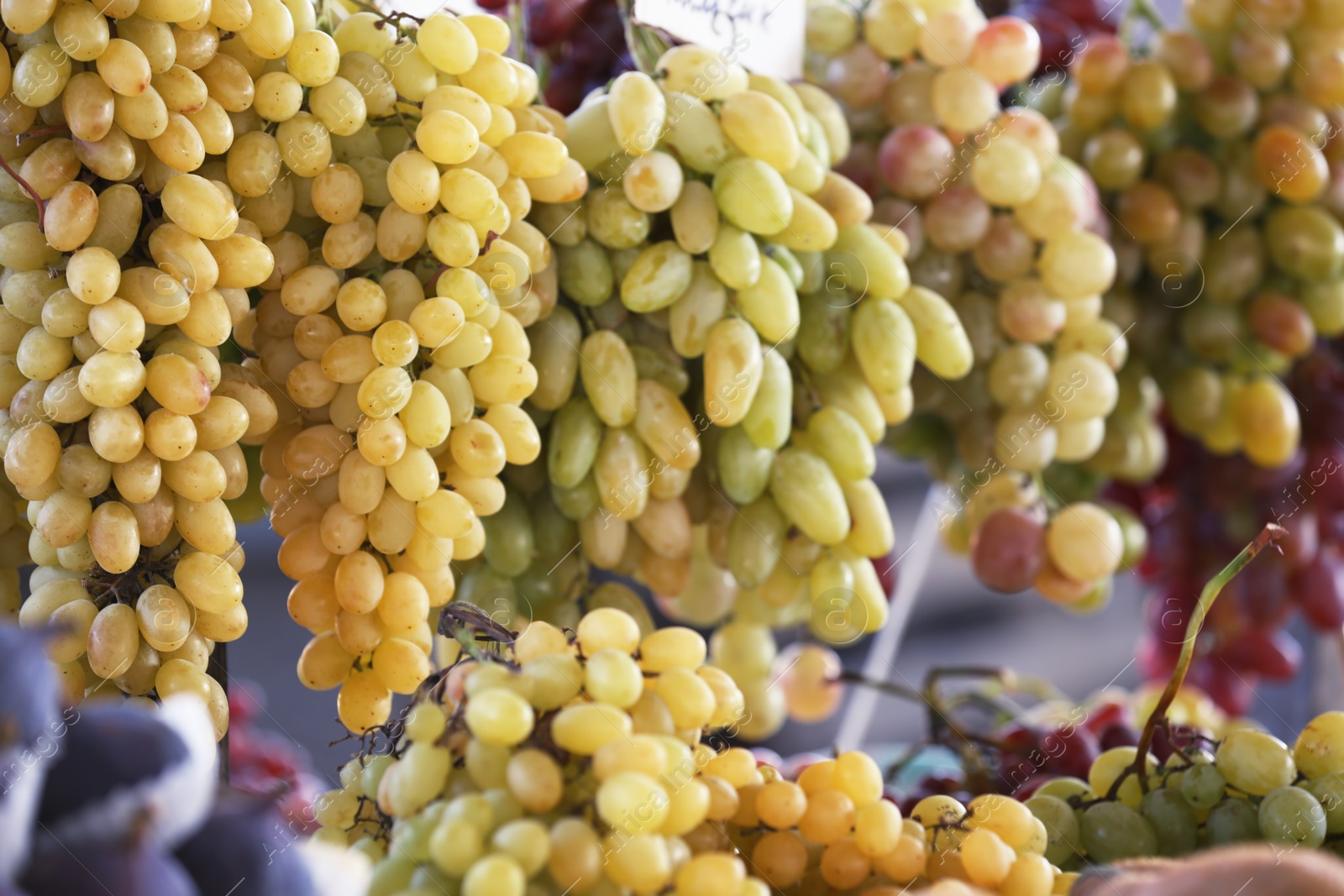 Photo of Fresh ripe juicy grapes against blurred background