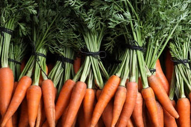 Bunches of tasty raw carrots as background, top view