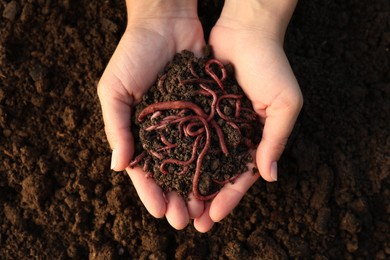 Photo of Woman holding soil with earthworms above ground, top view