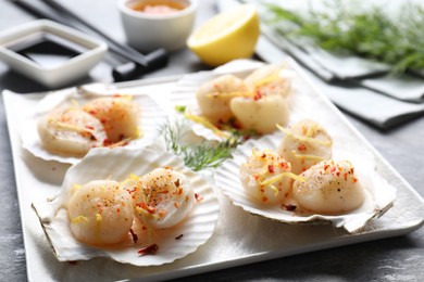 Photo of Raw scallops with spices, lemon zest and shells on grey table, closeup