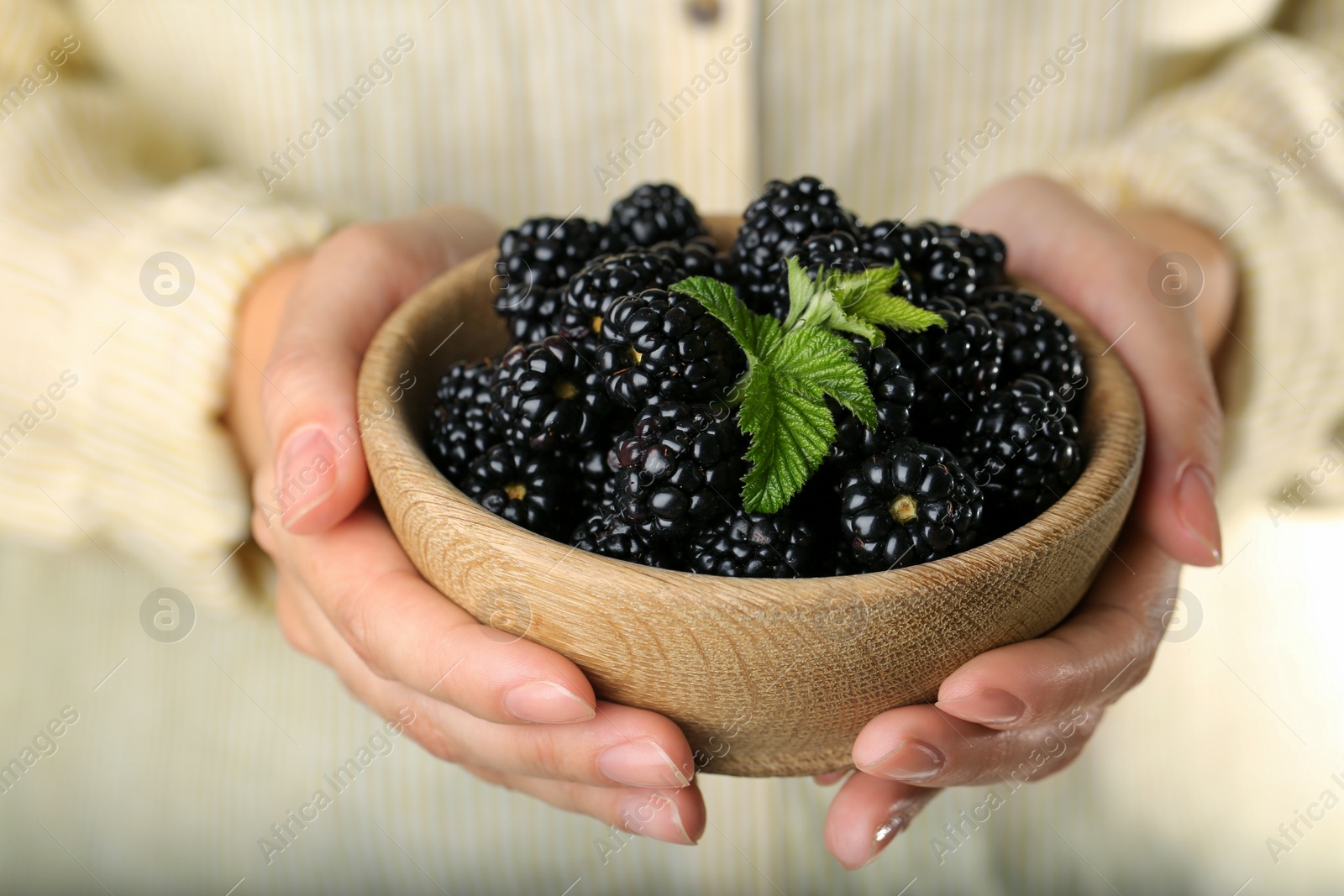 Photo of Woman holding bowl of fresh ripe blackberries, closeup