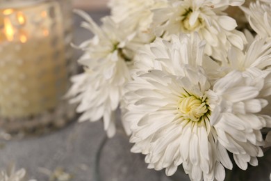 Photo of Beautiful chrysanthemum flowers on grey table, closeup
