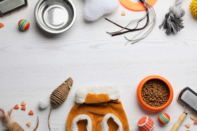 Photo of Flat lay composition with cat clothes, food and accessories on white wooden table. Space for text