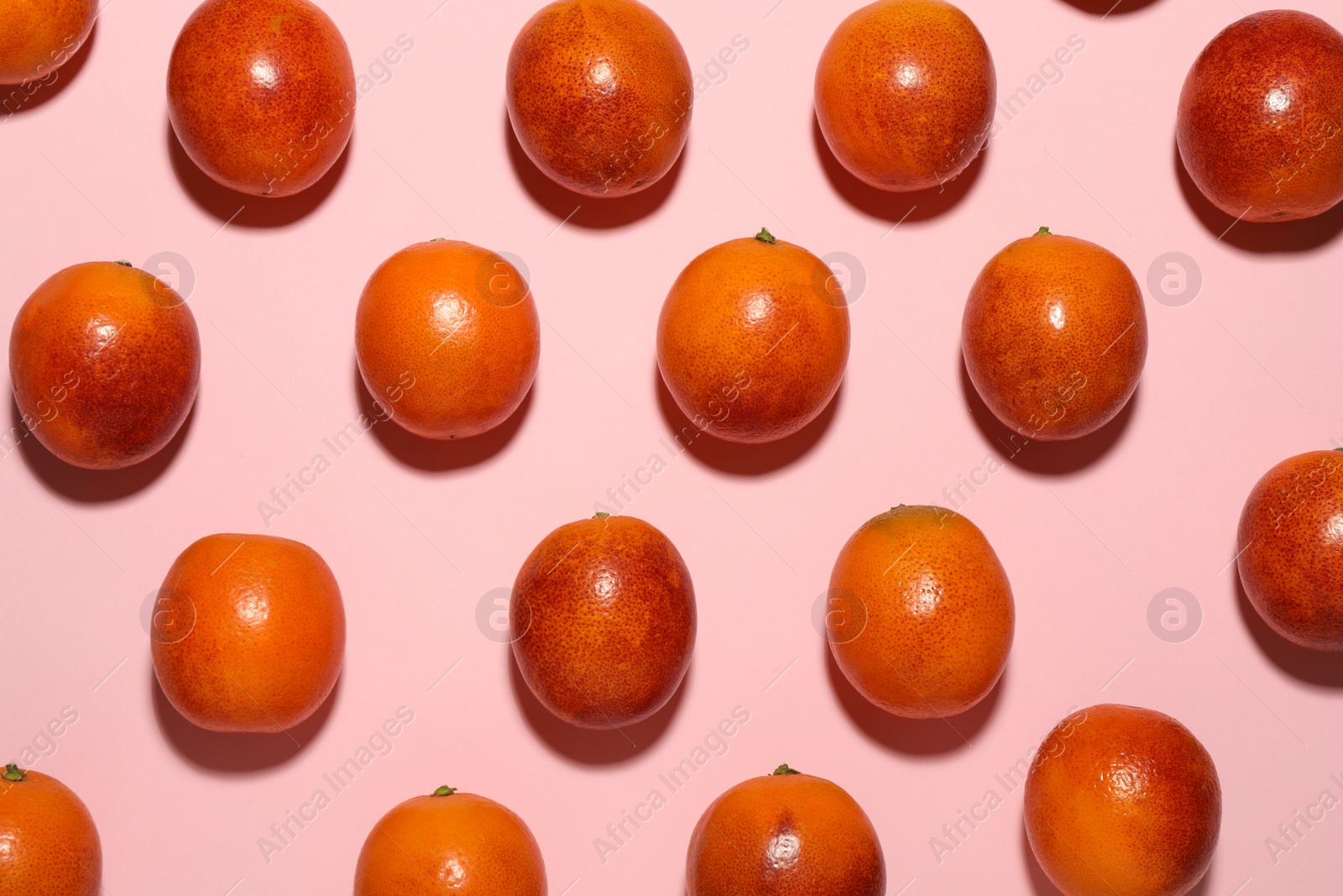 Photo of Many ripe sicilian oranges on pink background, flat lay