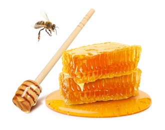 Tasty honeycombs, dipper and bee on white background