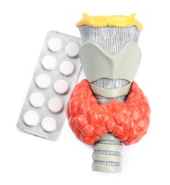 Photo of Plastic model of afflicted thyroid and pills on white background, top view