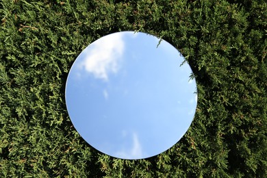 Round mirror on juniper shrub reflecting beautiful sky, top view