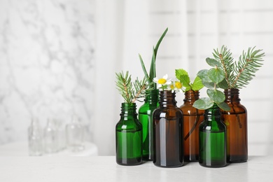 Glass bottles of different essential oils with plants on table. Space for text