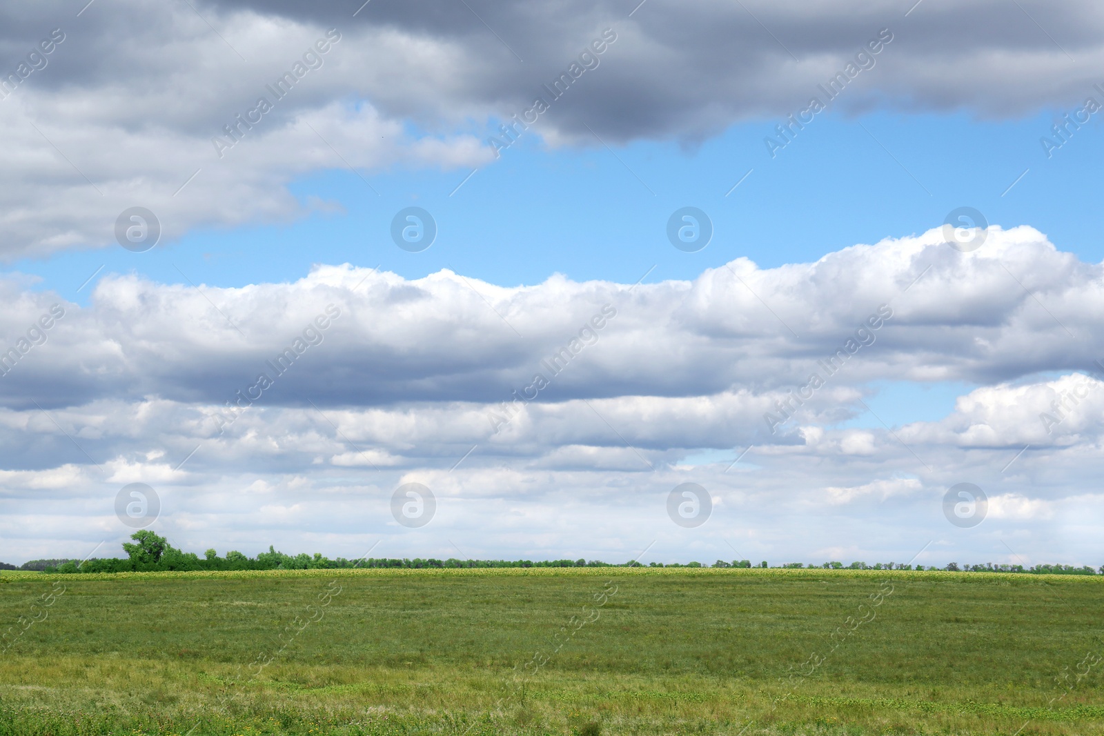 Photo of Picturesque view of beautiful fluffy clouds in light blue sky above field
