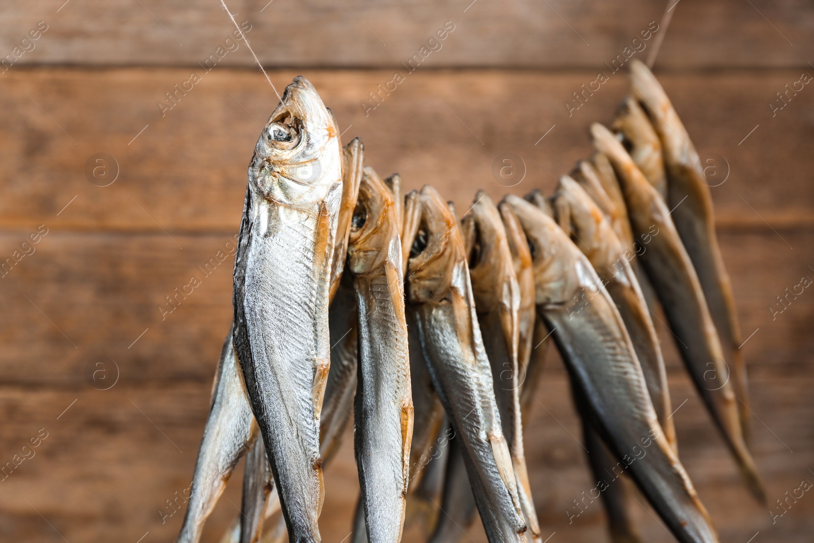 Photo of Dried fish hanging on rope against wooden background