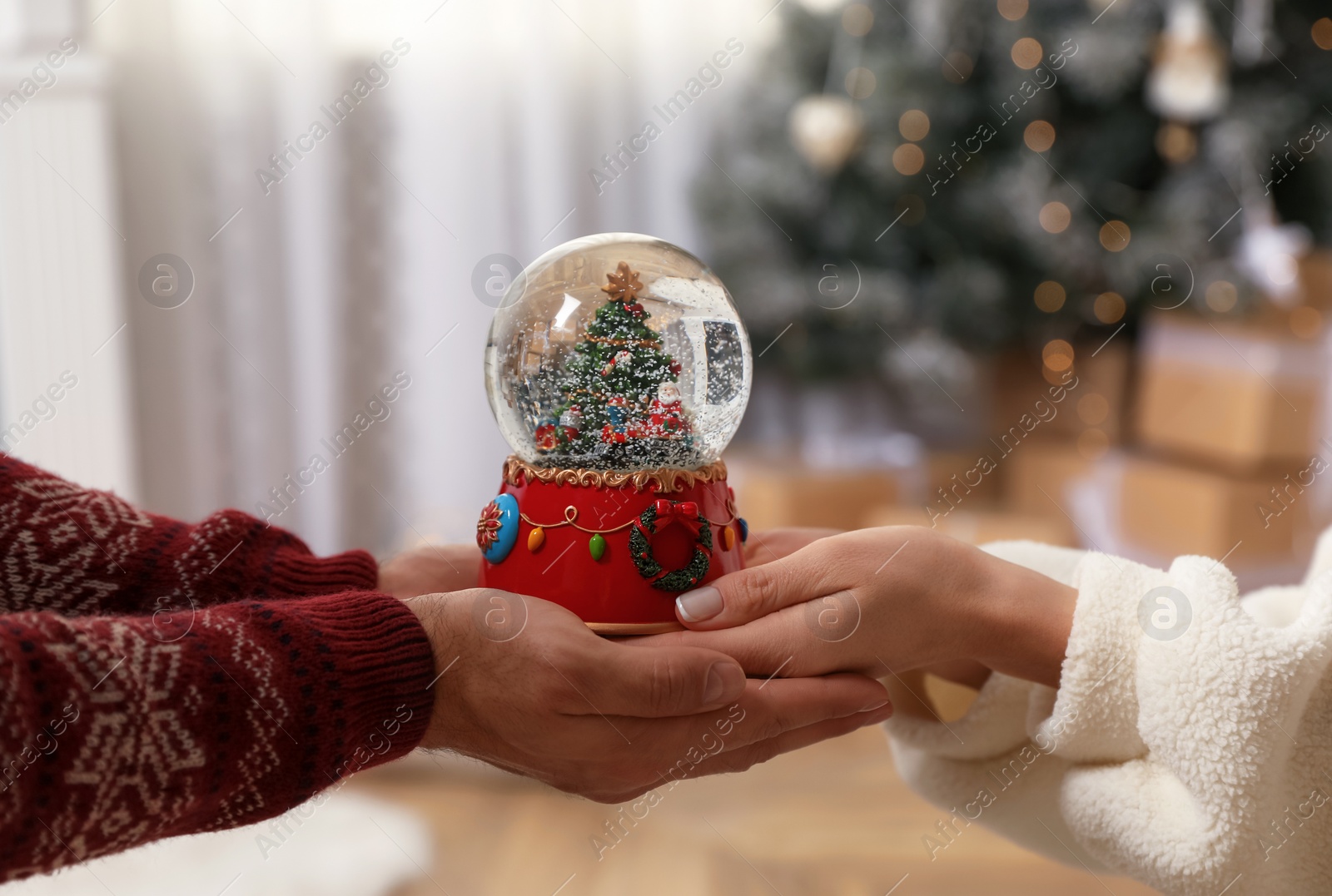 Photo of Couple holding snow globe with Christmas tree at home, closeup
