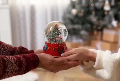 Couple holding snow globe with Christmas tree at home, closeup