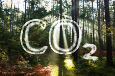 Image of Concept of clear air. CO2 inscription and beautiful forest