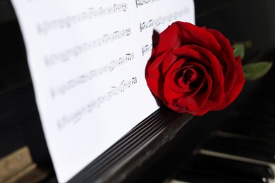 Beautiful red rose and musical notes on piano, closeup