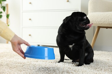 Photo of Woman feeding her adorable Pug dog in room, closeup