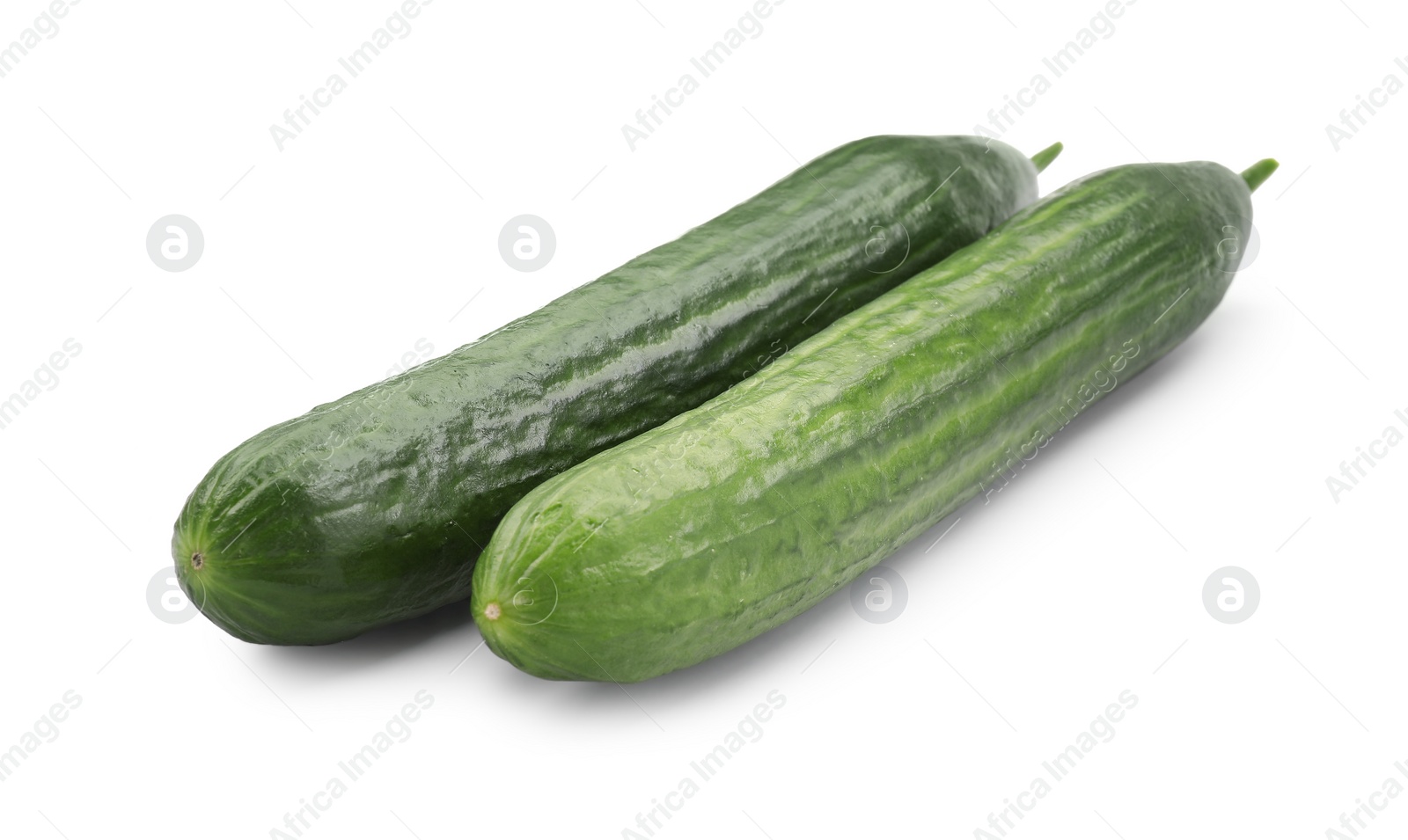 Photo of Two long fresh cucumbers isolated on white