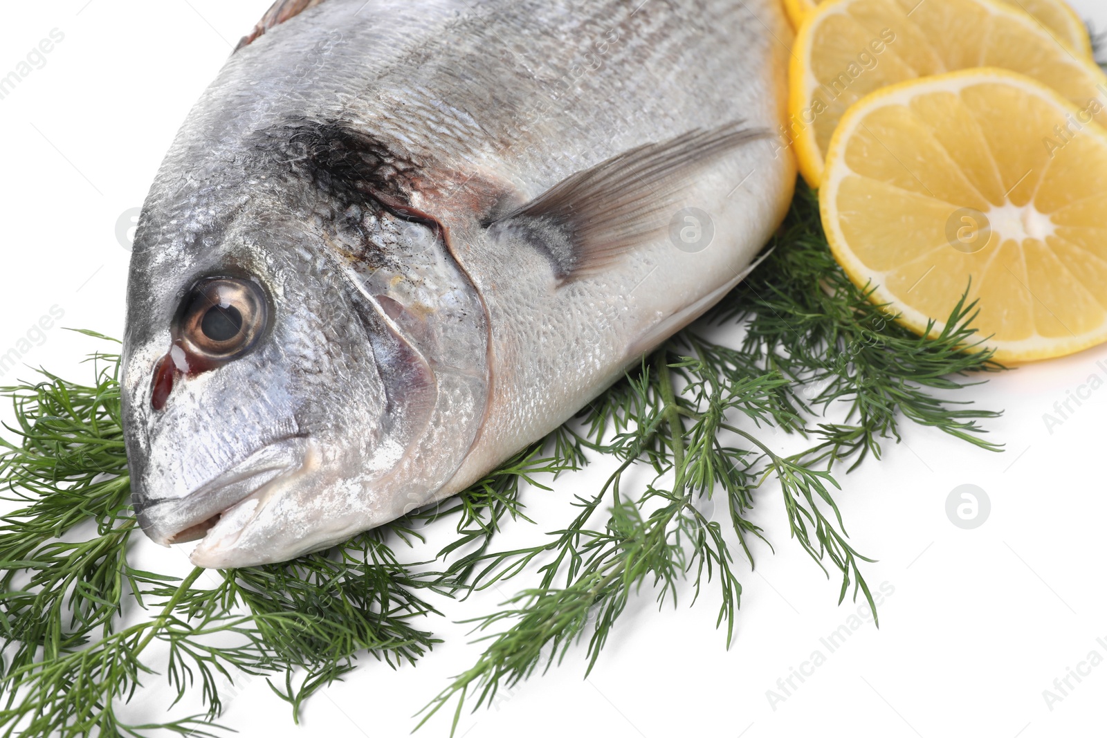 Photo of Raw dorado fish, dill and lemon slices isolated on white