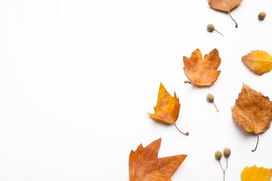 Flat lay composition with autumn leaves and space for text on white background