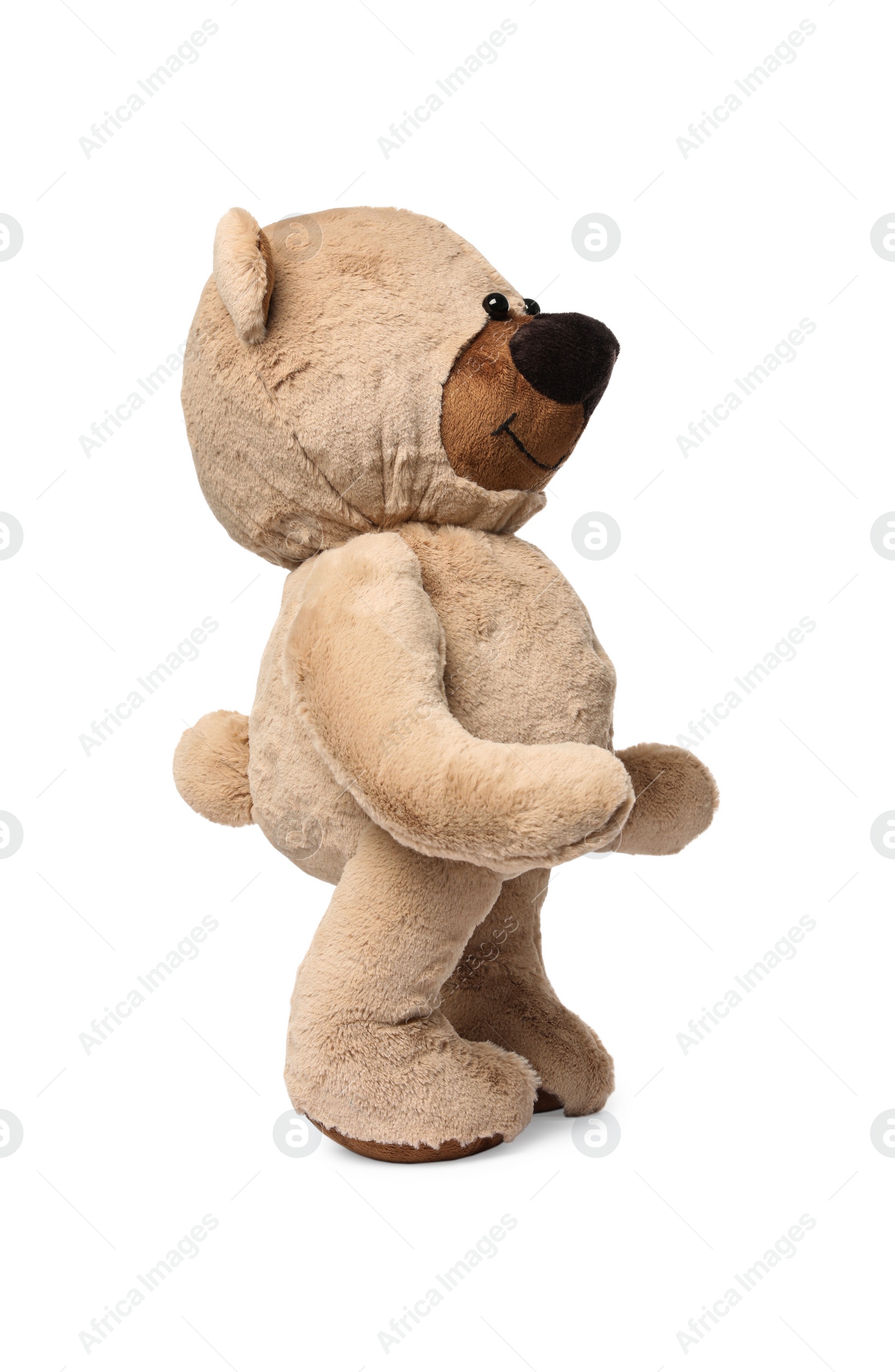 Photo of Cute teddy bear isolated on white. Child`s toy