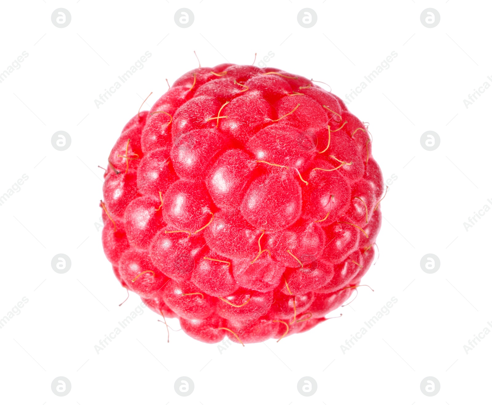 Photo of One tasty ripe raspberry isolated on white