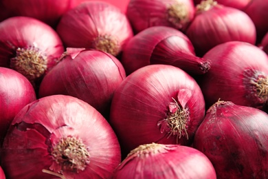 Photo of Ripe red onions as background