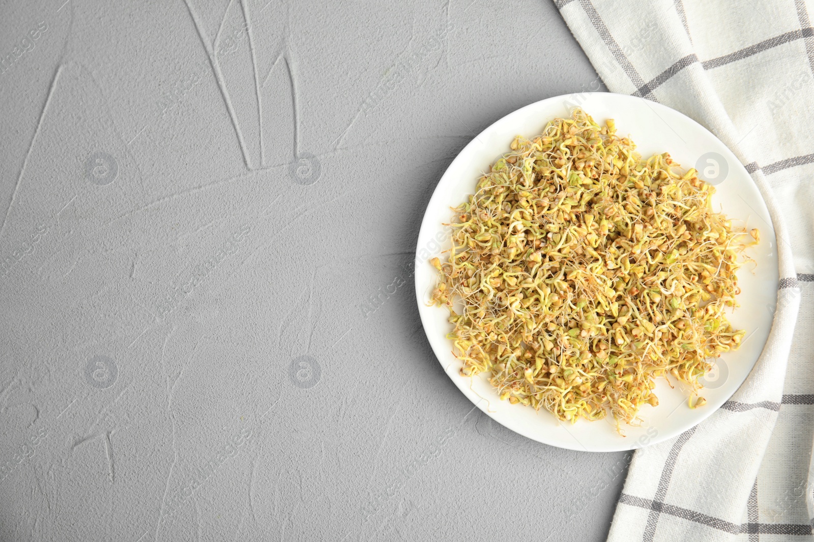 Photo of Plate with sprouted green buckwheat on light grey table, top view. Space for text