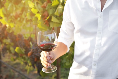 Photo of Handsome man with glass of wine at vineyard on sunny day, closeup