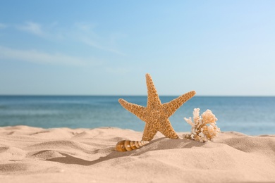 Sandy beach with starfish, shell and coral near sea on sunny summer day. Space for text