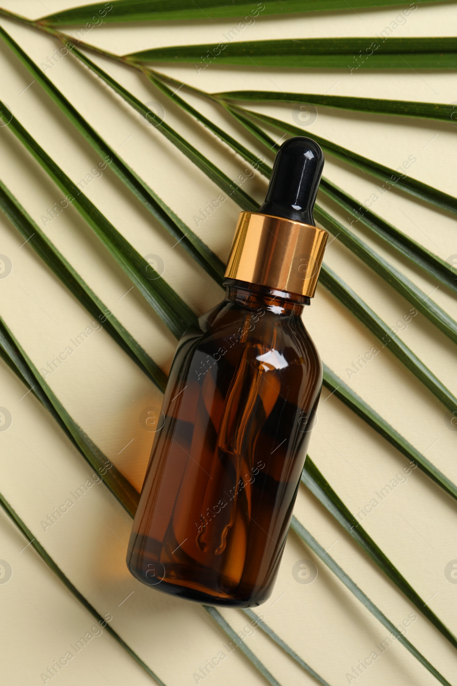 Photo of Bottle with cosmetic oil and green leaf on beige background, top view