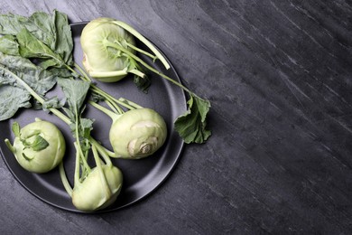 Whole ripe kohlrabi plants on grey table, top view. Space for text