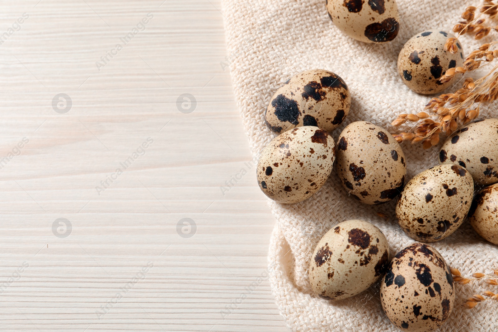 Photo of Fresh quail eggs and dry plants on white wooden table, flat lay. Space for text