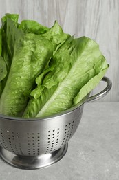 Photo of Colander with fresh green romaine lettuces on light grey table