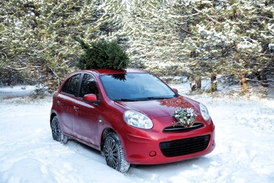 Car with Christmas wreath and fir tree in snowy forest on winter day