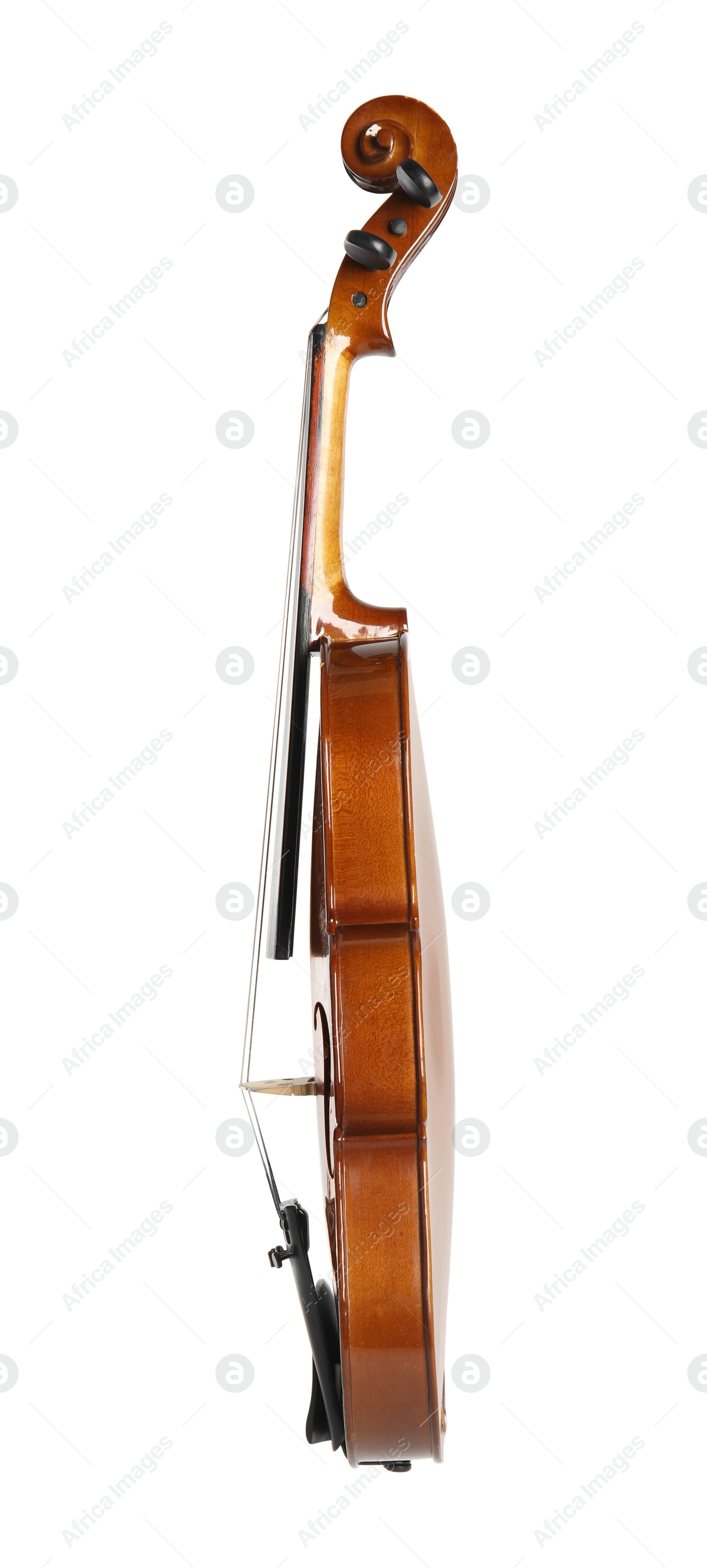 Photo of Classic violin isolated on white. Musical instrument