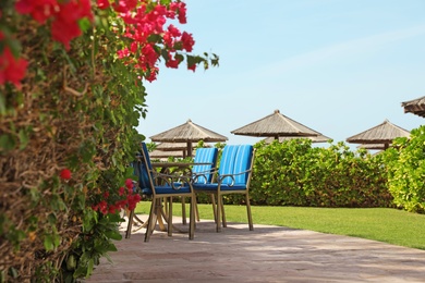 Outdoor cafe at tropical resort on sunny day