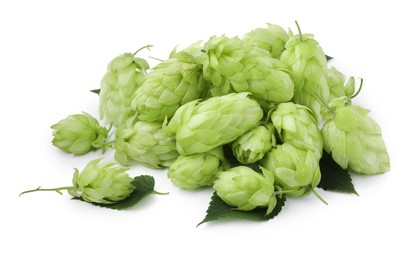 Pile of fresh green hops on white background