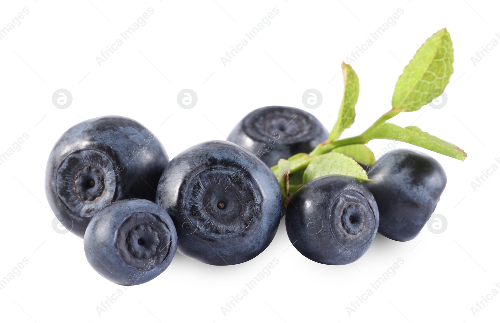 Photo of Delicious ripe bilberries and green leaves isolated on white