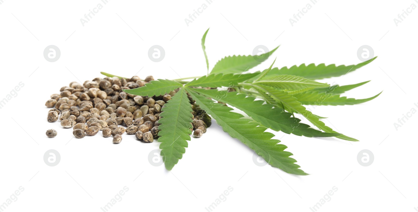 Photo of Pile of hemp seeds and leaves on white background