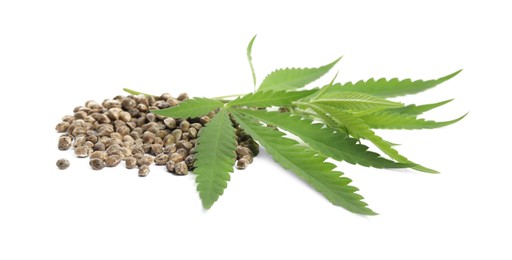 Photo of Pile of hemp seeds and leaves on white background