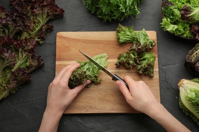 Photo of Woman cutting red leaf lettuce at black slate table, top view