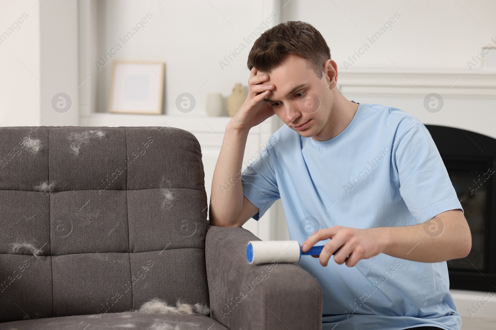 Photo of Pet shedding. Tired man with lint roller removing dog's hair from armchair at home