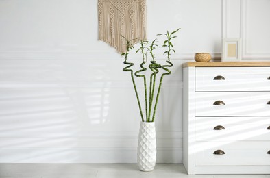 Vase with green bamboo stems near chest of drawers in room, space for text. Interior design