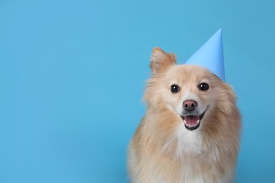 Cute dog with party hat on light blue background, space for text. Birthday celebration